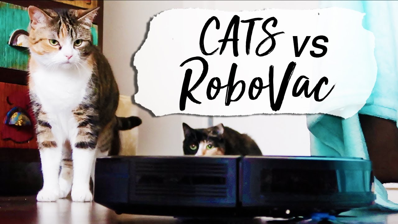 CATS VS ROBOVAC: Eufy R450 Unboxing Cute Cats React | Robot Vacuum Cleaner - First Impressions